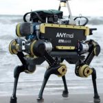 Four-legged robots have become smarter thanks to a computer simulation