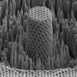 The strength of titanium, the density of water: engineers have created a "metallic wood"