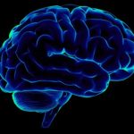 Нейробіологи навчили нейросеть переводити сигнали мозку в виразну мову