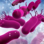 Режим зомбі: вчені відкрили новий стан бактерій