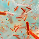 Доведено: бактерії жертвують собою, щоб захистити колонію від антибіотиків