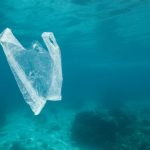 Ocean depths turned into "bins" for plastic waste