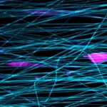 Celler bruger "slingshots" for at accelerere sig selv