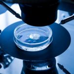 Οι επιστήμονες ζητούν την καθολική απαγόρευση της χρήσης της τεχνολογίας επεξεργασίας γονιδίων CRISPR