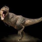 10 поширених помилок про динозаврів