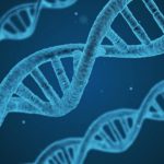Перший створений комп'ютером геном може стати основою для синтетичного життя