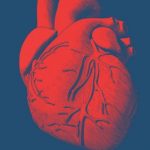 人間の布地で作られた3Dプリンタで印刷された世界初の心臓を発表