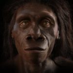 Tutkimus paljasti uuden syyn ihmisen kasvojen evoluutioon