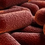Löytyi tapa tuhota bakteerien kaksinkertainen suojaus antibiootteja vastaan