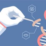 CRISPR-indsprøjtning i embryoens hjerne kan helbrede genetisk lidelse