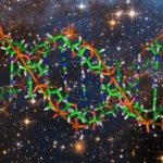 The DNA editing method was used for the first time on the ISS
