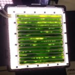 Astronauts will use algae as food and source of oxygen
