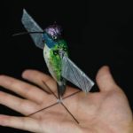 # video | What does the most realistic hummingbird robot look like?