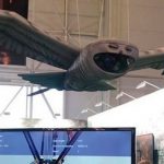 In Russia, developed a spy drone in the form of an owl