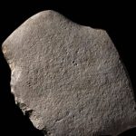 フランスでは、古代の動物の絵が描かれた石が見つかりました