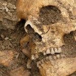 تم العثور على سفينة فايكنغ غير عادية مع جثث الموتى والمجوهرات في السويد