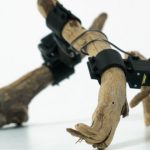 "From neural networks and sticks": how an unusual robot was taught to walk