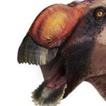 Scientists discovered a new dinosaur. He was like a duck