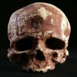 لقد اكتشف العلماء جريمة ارتكبت قبل 33 ألف عام.