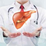 Scientists have grown the liver "in vitro"