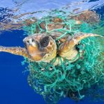 Encontramos una manera de eliminar todo el plástico de los océanos.