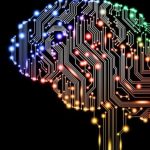 The Next Step in AI Development - Baby Brain Simulation