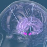 Scientists first restored memory in Alzheimer's