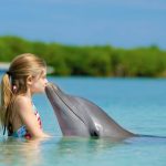 Er delfiner virkelig så smarte, som det er tale om?