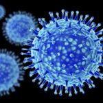 Деякі віруси добре впливають на здоров'я