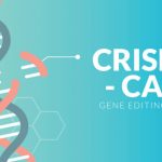 CRISPR-genomieditori käytettiin ensin HIV-terapiaan