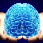 Fundet en måde at forbedre hjernens funktion