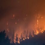 A tool has been created to prevent forest fires. How does it work?