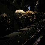 It is impossible to predict how human evolution will go