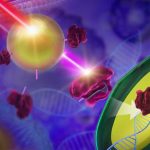 Sådan hjælper CRISPR genomeditor med at bekæmpe bakterier