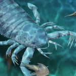 У Китаї знайшли скам'янілості гігантського морського скорпіона