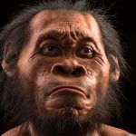 Lapsen Homo Naledin löydetyt jäännökset lisäsivät muinaisen ihmisen mysteerien tutkijoita