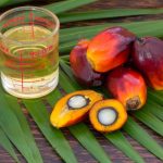 Palm oil promotes the spread of cancer cells