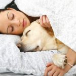 Los científicos han descubierto que el sueño no solo es necesario para el cerebro.