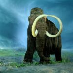 The main reason for the extinction of mammoths is named - ancient people have nothing to do with it