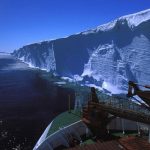 Під Антарктикою знайдено «шокуючий достаток» живих організмів