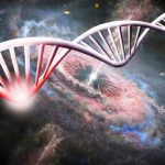 Los científicos han descubierto que el ADN muta rápidamente en gravedad cero