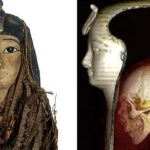 What did scientists learn about the mummy of the pharaoh, passing it through a tomograph?