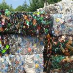 Банерії, що розкладають пластик, стали з'являтися в усьому світі самі по собі