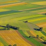 The planet turns into a solid farm - why arable land is dangerous
