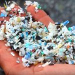 A new harmful property of microplastics: how does it raise cholesterol?