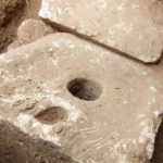 The very first toilets in the world were inhabited by dangerous parasites