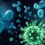 Як COVID-19 стимулює небезпечні антитіла та “присипляє” імунну систему