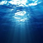Microbios encontrados en el océano que reproducen oxígeno sin luz solar