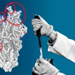 What's Happening: Omicron's 13 Key Mutations