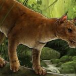 Forskere har fundet resterne af et af de første "rigtige" rovdyr i verden